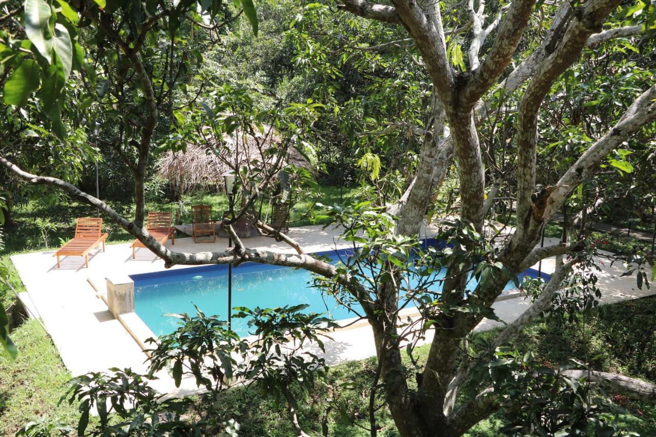Bissa Villa Хабарана Экстерьер фото