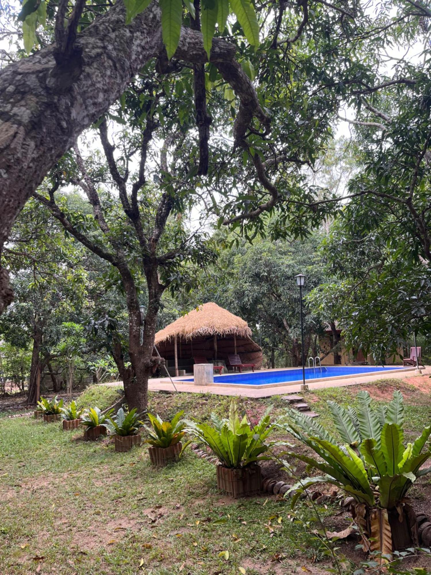 Bissa Villa Хабарана Экстерьер фото